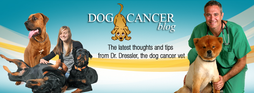 Dog Cancer Blog
